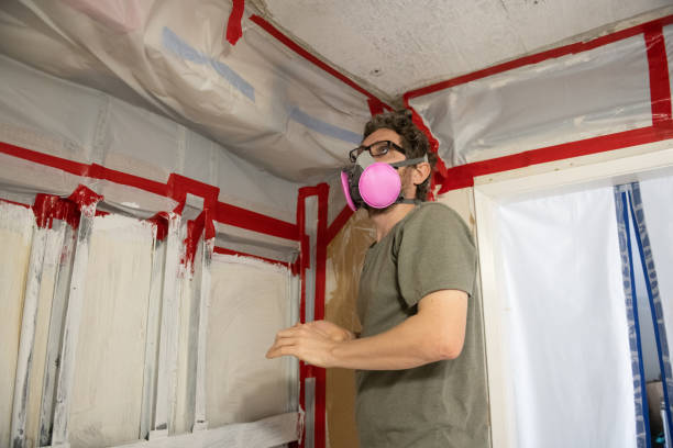 Best Mold Damage Restoration  in USA